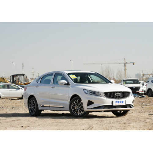 geely borui ev voiture electrique adulte carros veicoli per adulti adulti eec elettrico auto
